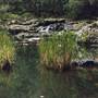 Barrington Tops National Park