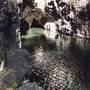 Barrington Tops National Park