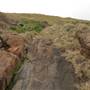Bass Point Reserve to Maloneys Bay
