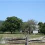 Berry Area Farms
