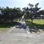 Glebe Foreshore Parks