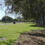 Glebe Foreshore Parks