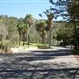 Bilgola Beach
