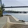 Blackwattle Bay Park
