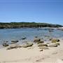 Boat Harbour 4WD Park