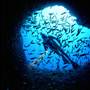 Lord Howe Island