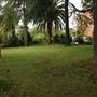 Loreto, Normanhurst