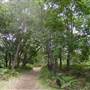 Bonnie Vale Campground - Royal National Park