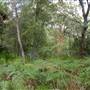 Bonnie Vale Campground - Royal National Park