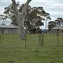 Boorowa