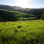 Jamberoo