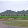 Broke vineyards