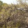 Broken Hill Area