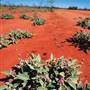 Broken Hill Area (Inc. Silverton)