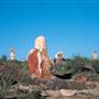 Broken Hill Sculptures Site and Living Desert