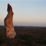 Broken Hill Sculptures Site and Living Desert