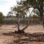 Broken Hill Surrounds