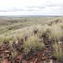 BROKEN HILL, OUTCROPS & SURROUNDS 2012
