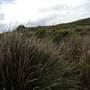 Broughton Island