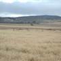 Bungendore Sand Mine