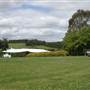 Burrawang - Southern Highlands