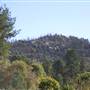 Cabonne County