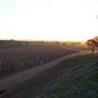 Cabonne County