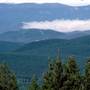 Canobolas State Forest / Recreation Area