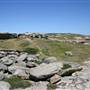 Cape Banks