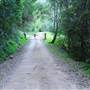 Canyon Park