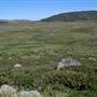 Charlotte Pass