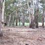 Coolah Tops National Park