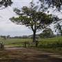 Coolah Tops National Park