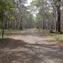 Coolah Tops National Park