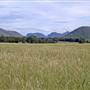 Coonabarabran Area