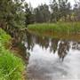 Cox's River at Duddawarra Bridge