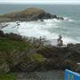 Crescent Head