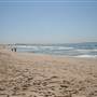 Cronulla Beach
