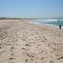 Cronulla Beach