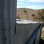 Crookwell Shearing Station