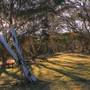 Currango Homestead