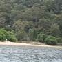 Currawong Beach Cottages
