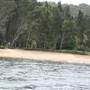 Currawong Beach Cottages