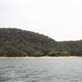 Currawong Beach Cottages