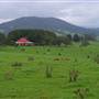 Dorrigo National Park
