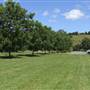 'Eltham Valley Pantry' Nut, Coffee & Olive Farm
