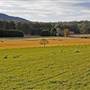 Eurobodalla Area