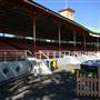 North Sydney Oval