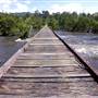 Northern Rivers Region