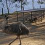 Shoalhaven Zoo
